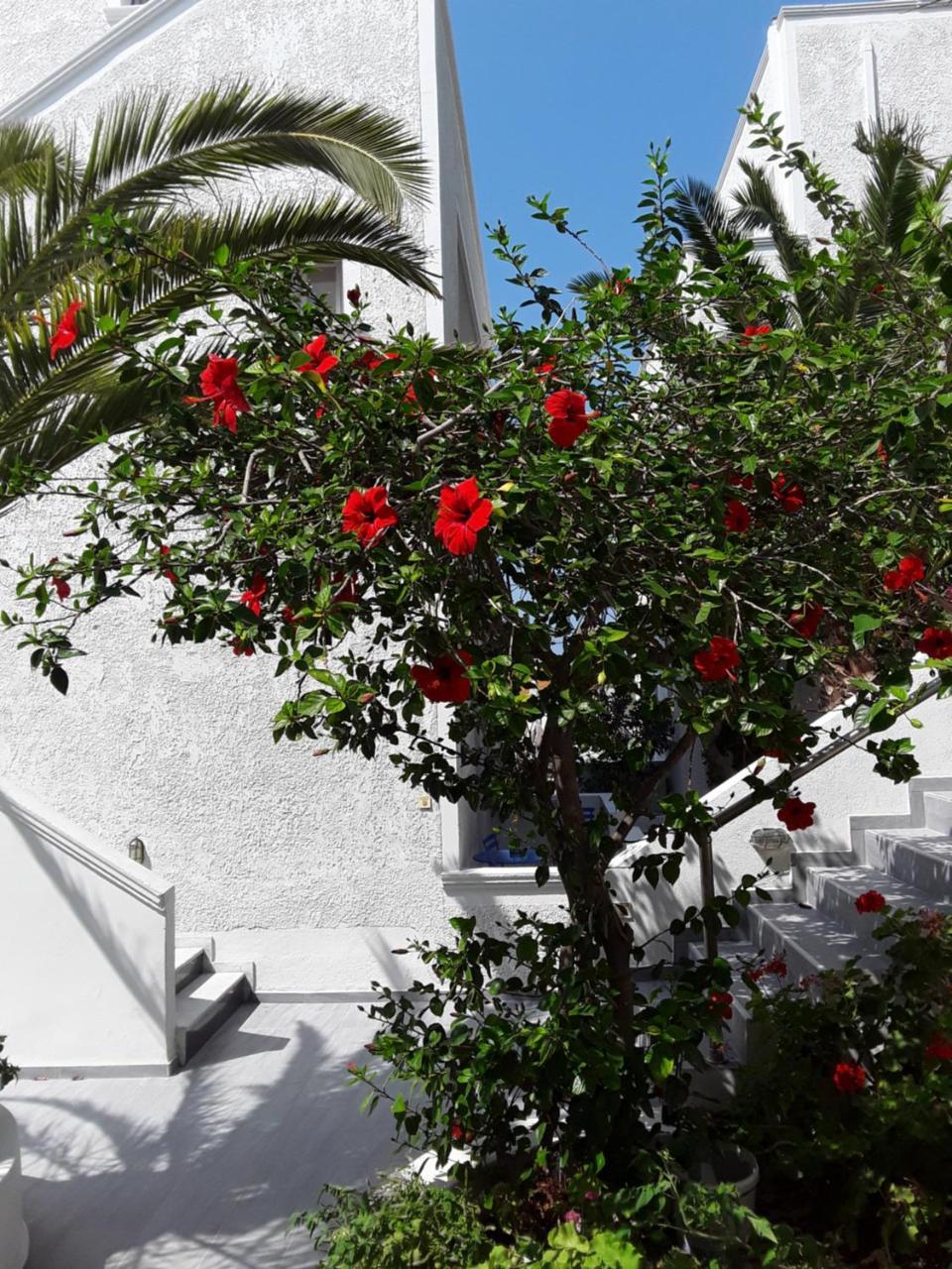 Azalea Hotel Kamári Exterior foto